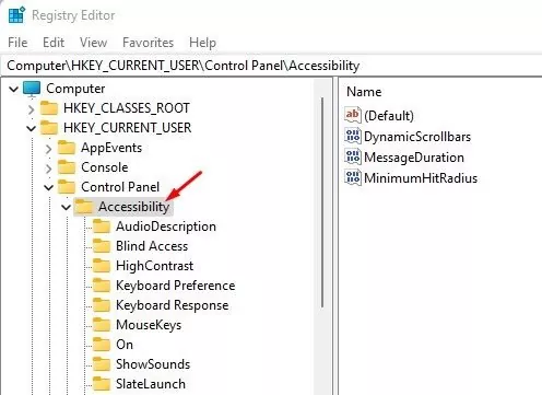 HKEY_CURRENT_USERControl PanelAccessibility