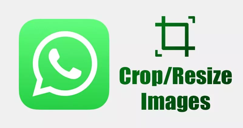 How to Crop or Resize Images on WhatsApp in 2022