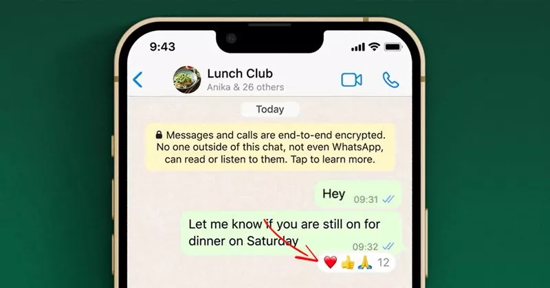 How to Use the Message Reactions on WhatsApp