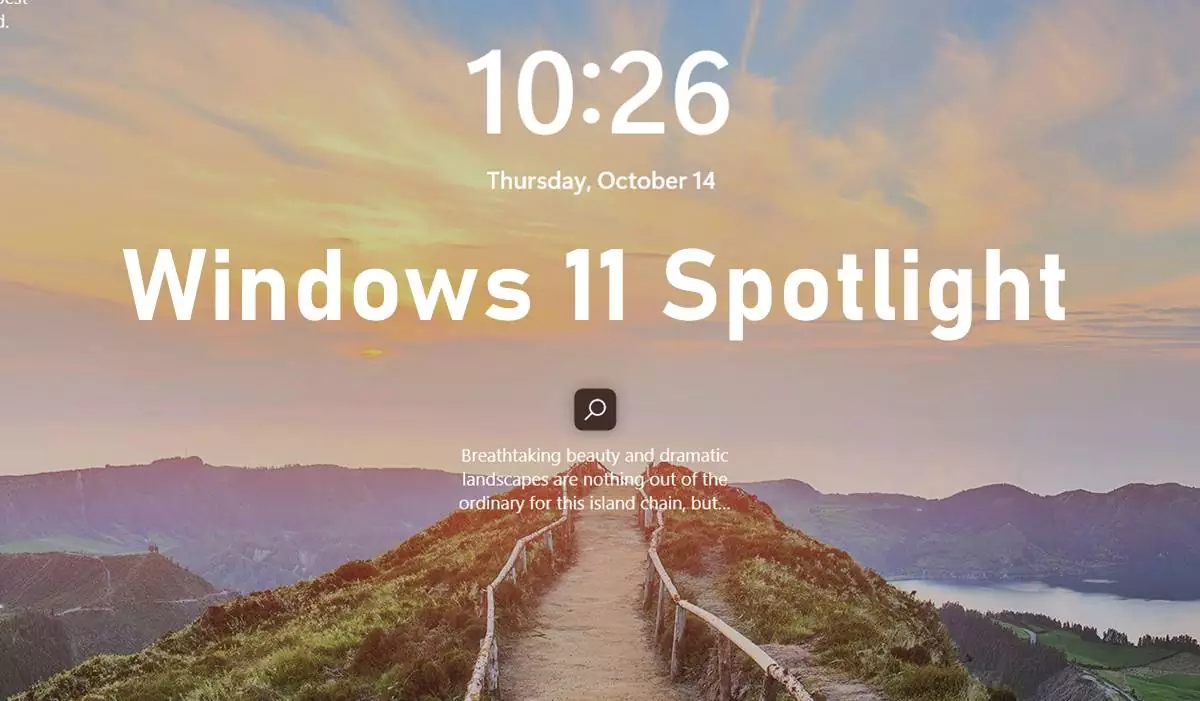 Windows-11-Users-Got-Windows-Spotlight-in-Latest-Build-22000.739.jpg