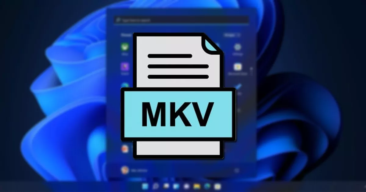 Best Free MKV Players for Windows 11