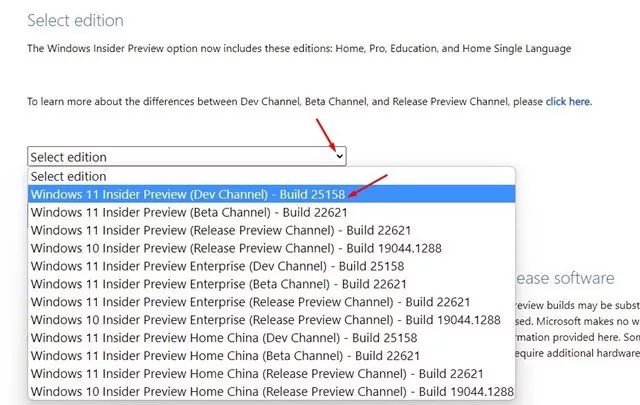 Windows 11 Insider Preview (Dev Channel) Build 25158