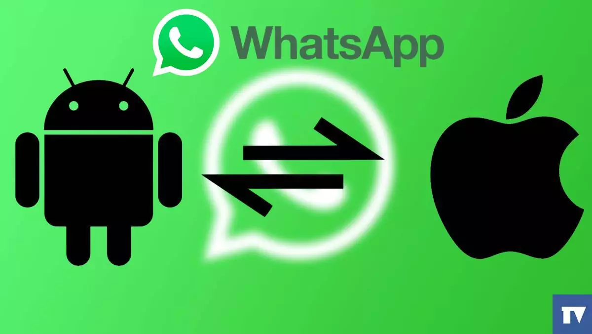 WhatsApp-Now-Allows-You-To-Migrate-Chat-Between-Android-iOS.jpg
