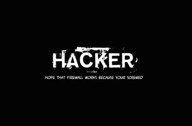 Hacker Theme for windows 11