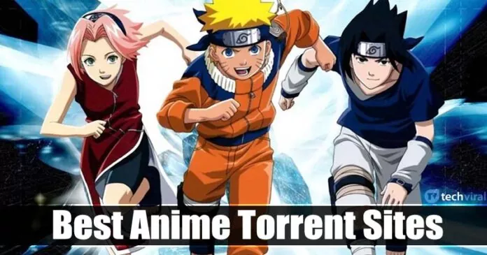 How to Download Anime Videos (Best Anime Torrent Sites)
