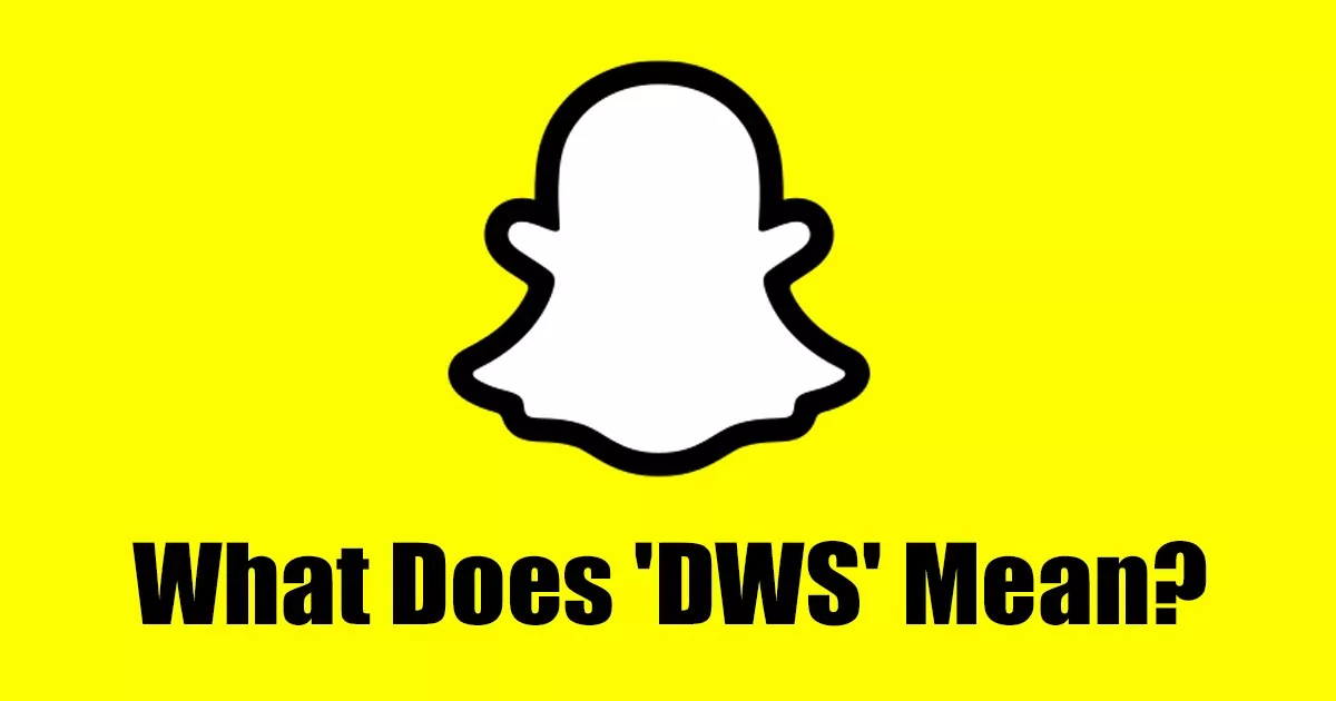 What Does 'DWS' Mean on Snapchat (Meaning with Examples)