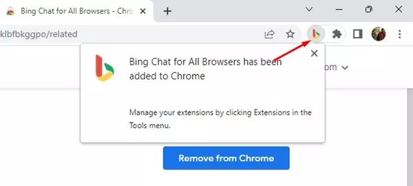 Bing browser extension
