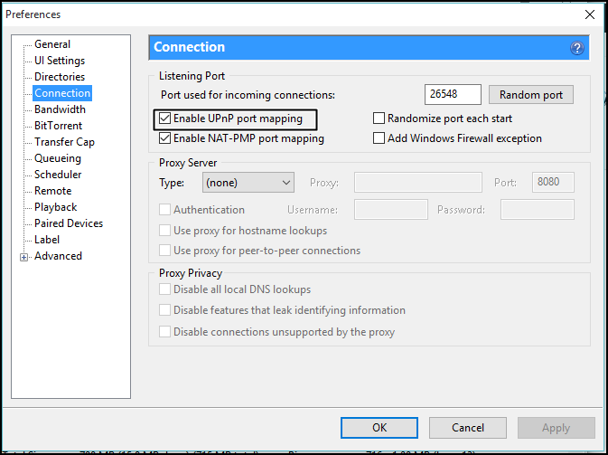 Enable UPnP port mapping