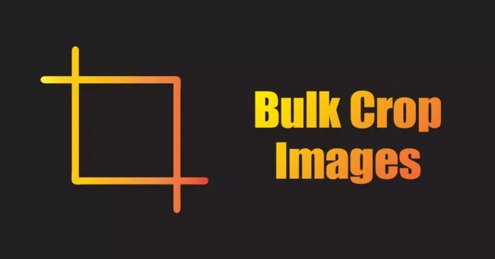 How to Bulk Crop Images in Windows 11/10 (Full Guide)