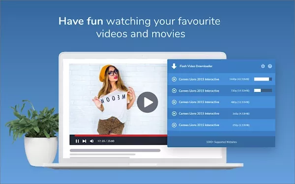 Download Flash Videos using a Browser Extension