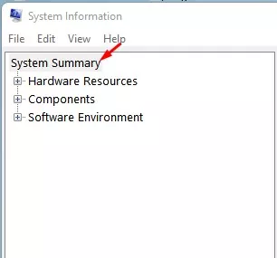 select the 'System Summary'