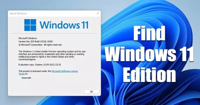 How to Check Windows 11 Edition (6 Methods)
