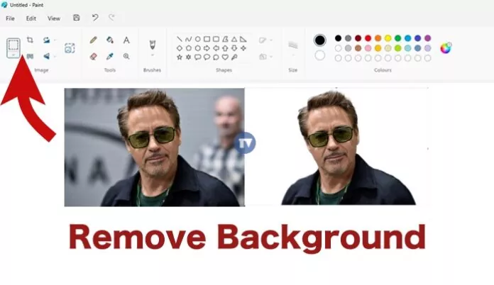 Paint App Background Removal Tool Download & How to use