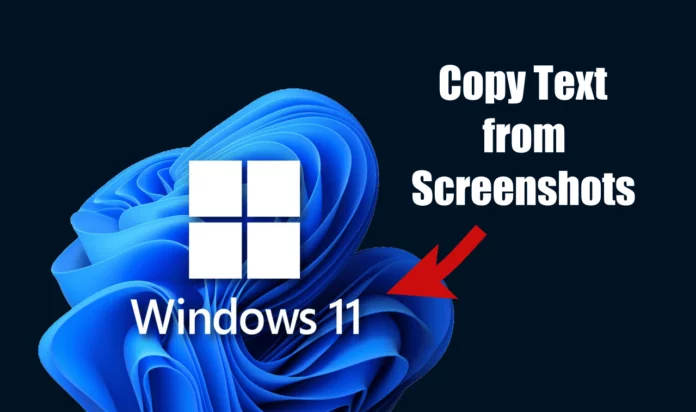 How to Copy Text from Screenshots on Windows 11 (3