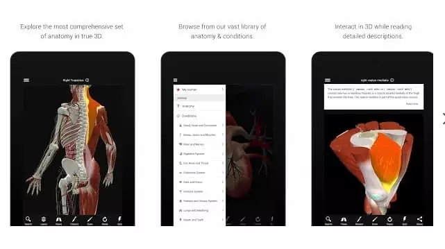 BioDigital Human - 3D Anatomy
