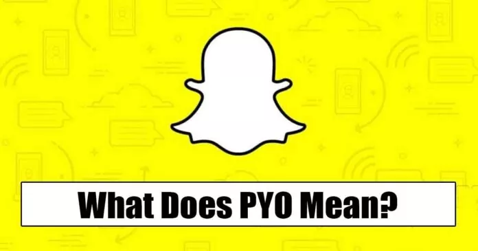 What Does ‘PYO’ Mean on Snapchat? (All Meanings)