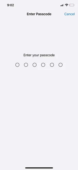 enter your iPhone's passcode