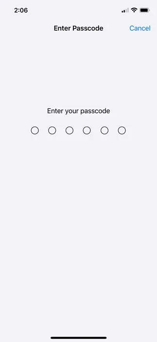 enter your iPhone passcode