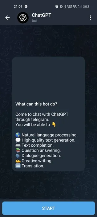 ChatGPT Plus Bot