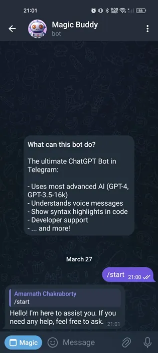 Magic Buddy AI chatbot